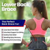 Noxwear - Lower Back Brace with 6 Stays Anti-skid Orthopedic Lumbar Support Breathable Waist Support Belt for Men Women Gym Pain Relief